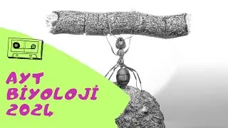 AYT Biyolojiye Nasıl Çalışmalıyım?