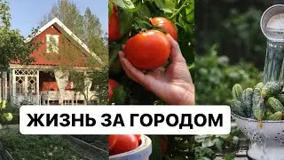 🔴 ВАМ ПОНРАВИТСЯ📍ЖИТЬ ЗА ГОРОДОМ ЭТО СУПЕР #садовод #огород#влог