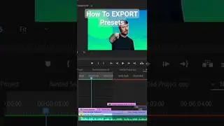 How To Export PRESETS In Premiere Pro