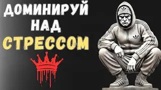 КАК КОНТРОЛИРОВАТЬ СТРЕСС: мощные стоические методы | Психология Стоицизма