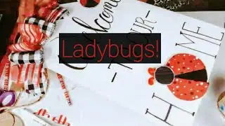 New! Ladybug Diys
