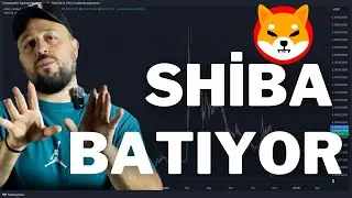 Shiba Inu'da Büyük Şok! %100 Yakım Düşüşü İle Gelecek Tehlikeler 🚨