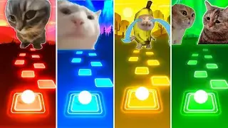 Chipi Chipi Chapa Chapa Cat vs Vibing Cat vs Banana Cat vs Talking Cats - Tiles Hop EDM Rush