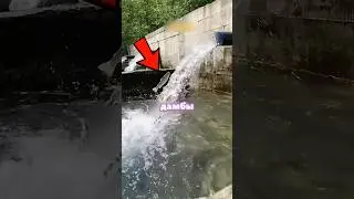 Лосось Который Смог🔥