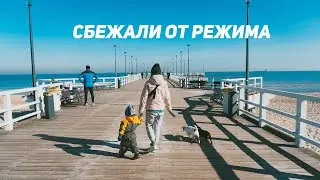 Сколько стоил переезд в Польшу из Беларуси. Переезд в Гданьск