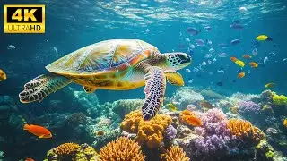 Magical Animals 4K - Beautiful Young Animals With Beautiful Relaxing Music (Colorfully Dynamic)