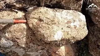 Ayı define kafası Yılan kobra define kafası içinde  Altın  Bulunma Anı İNANILMAZ/treasure hunter