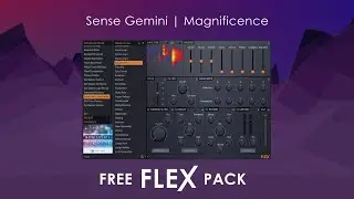 FLEX | Sense Gemini Magnificence