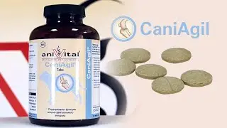 aniVital CaniAgil – немецкий хондропротектор для собак и кошек