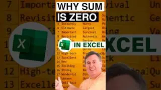 Excel - Why Excel SUM is Zero #Shorts  #microsoftexcel #excel - Episode S0003