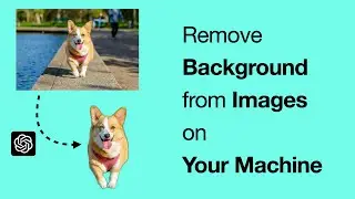 Remove Image Backgrounds Easily on Your Machine