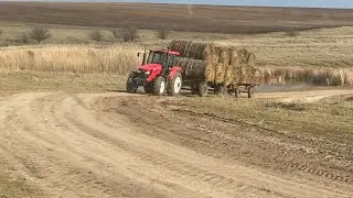 Рабочие моменты / Возим рулоны / Китаец выручает ( спасает Татарина)