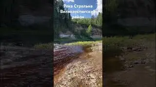 Река Стрельна, Великоустюгский р-н, Вологодская обл.