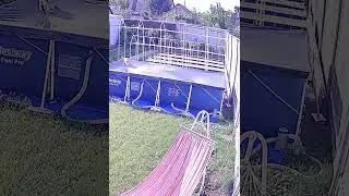 кот против бассейна