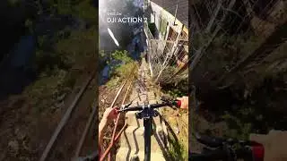 Did you see the cat?! 🫨 DJI Action 2 🎬 @Fave_5 #downhillmtb