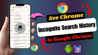 How To See Google Chrome Incognito History