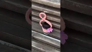 Что только не придумают🥰 не забудь поставить лайк и подписаться❤️