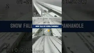 SNOW IN FLORIDA! ❄☃ Florida 511 traffic cameras captured snow falling in Escambia County.