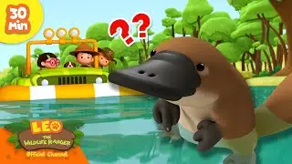 HOME OF THE PLATYPUS?! 🏠 | Webbed Feet Animals | Leo the Wildlife Ranger | Kids Cartoons