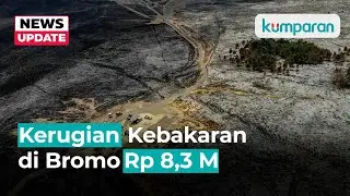 Kerugian Kebakaran Gunung Bromo Akibat Flare Prewedding Bertambah Jadi Rp 8,3 miliar