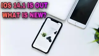 ios 14.1 is here ( how to update your iPhone software)