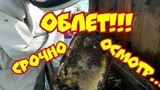 СРОЧНО ОСМОТР!!!   ОБЛЕТ!!!