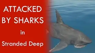 ATTACKED BY SHARKS in Stranded Deep