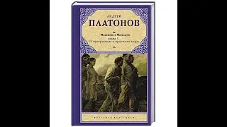 Андрей Платонов В ПРЕКРАСНОМ И ЯРОСТНОМ МИРЕ глава 5