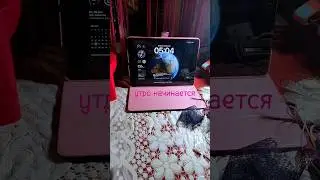 Рабочий день начинается #бантикившколу #diy #мк #handmade