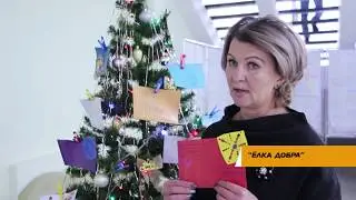 "Елка добра"