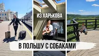 СНОВА В ПОЛЬШУ? Поездка Из Харькова в Польшу с Собаками - Поезд, Документы Для Собак, Краков