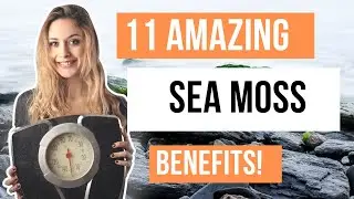 11 Amazing Benefits of Sea Moss - Will sea moss help my skin?