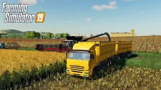 ПОКУПКА НОВОЙ ТЕХНИКИ. УБОРКА КАНОЛЫ. FS 19