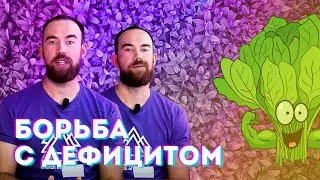 №58 Какие добавки и стимуляторы выбрать? | РОЗЫГРЫШ ПРОДУКЦИИ SIMPLEX