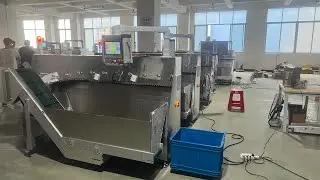 Stick sachet counting machine and flow wrapping machine