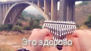 Это здорово — Николай Носков | хроматическая калимба Seeds 41