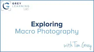 Exploring Macro Photography - GreyLearning Live! Presented by Tim Grey