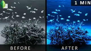 Convert Black and White To HDR Photo | Snapseed Tutorial 2019