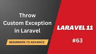 #63 How to Throw Custom Exception in Laravel | Hadayat Niazi