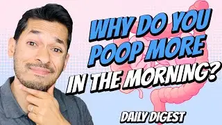 Why Do You Poop More In The Morning?