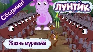 Luntik - Life of ants. Cartoon Collection 2018