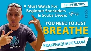 Just Breathe | A Must Watch For Beginner Snorkelers & Scuba Divers | Snorkeling for Beginners