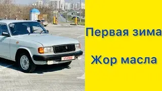 Волга 31029. Первая зима прожита. Борьба с жором и течью масла