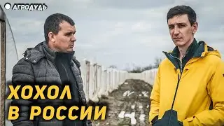 "Хохол" о России и Украине - под обстрелами собирают ягоду