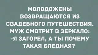 - Как тут загоришь, если ты всё время сверху! Смех! Юмор! Позитив!