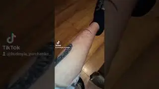 13 сентября 2024 г.