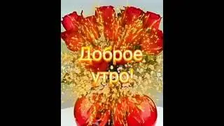 Доброе утро! Хорошего дня! #youtube #shorts #youtubeshorts