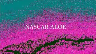 NASCAR ALOE - PUNKS ONLY (prod. @nascaraloe)