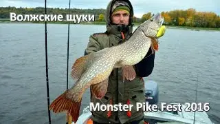 Щука на джерк Волга. Чебоксарское водохранилище