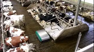 JOZ Tech timelapse